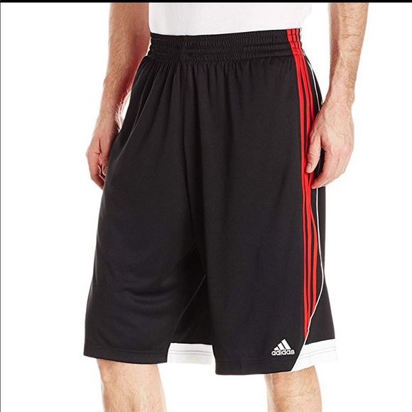 adidas 4xl shorts